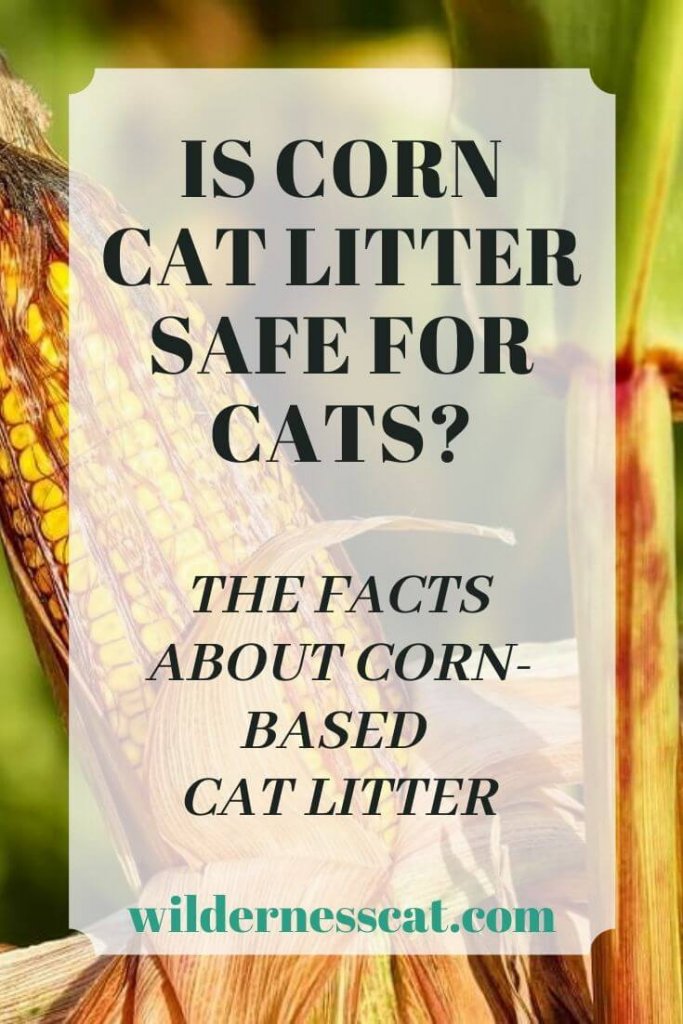 Is Corn Cob Cat Litter Safe for Cats? The Facts About Corn Cat Litter