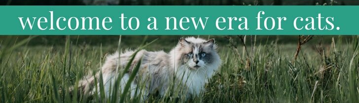 shop natural cat care