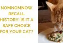 NomNomNow Recall History: Is It a Safe Choice for Your Cat?