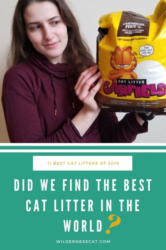 The Best Cat Litter In The World: 11 Best Cat Litters Of 2020